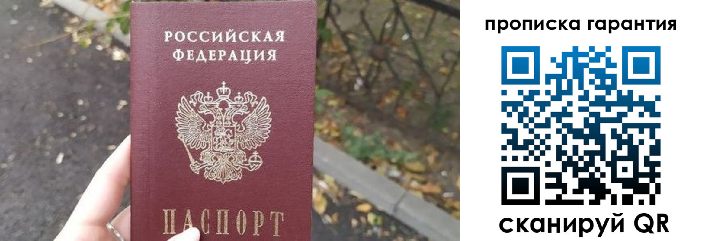 где прописаться в Ивантеевке